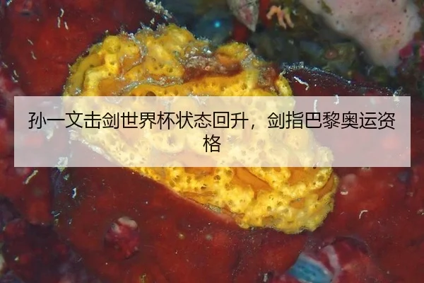 孙一文击剑世界杯状态回升，剑指巴黎奥运资格