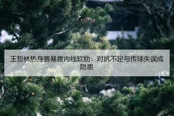 wang-zhe-lin-re-shen-sai-bao-lu-nei-xian-ruan-lei-dui-kang-bu-zu-yu-chuan-qiu-shi-wu-cheng-yin-huan-2-257.jpg